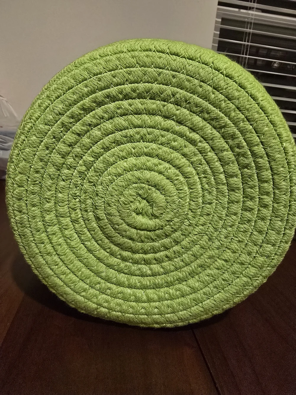 Joyward Green Frog 🐸 Rope Carry Basket with Handle, New with Tags!